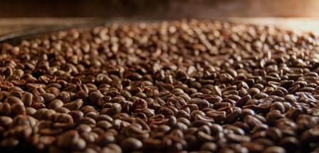 Historia kawy, czyli skąd się wziął pomysł na napar z ziaren kawowca?
